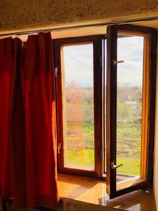 Проживание в семье Guesthouse Richie Ереван Большой двухместный номер с 1 кроватью-22
